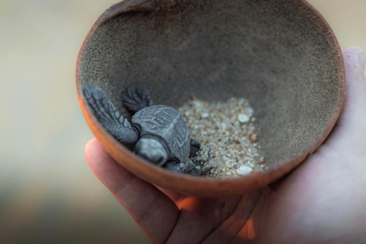 Visualizzazione guidata per il benessere mentale